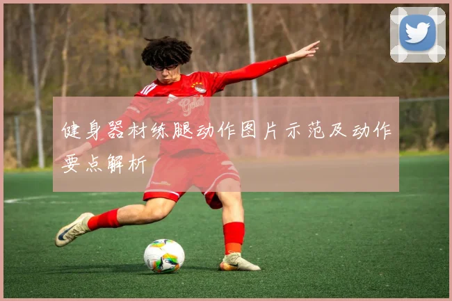 健身器材练腿动作图片示范及动作要点解析