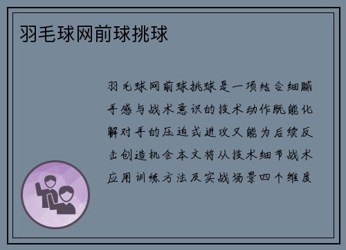 羽毛球网前球挑球